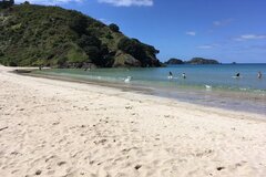 The Beautiful Bay of Islands!